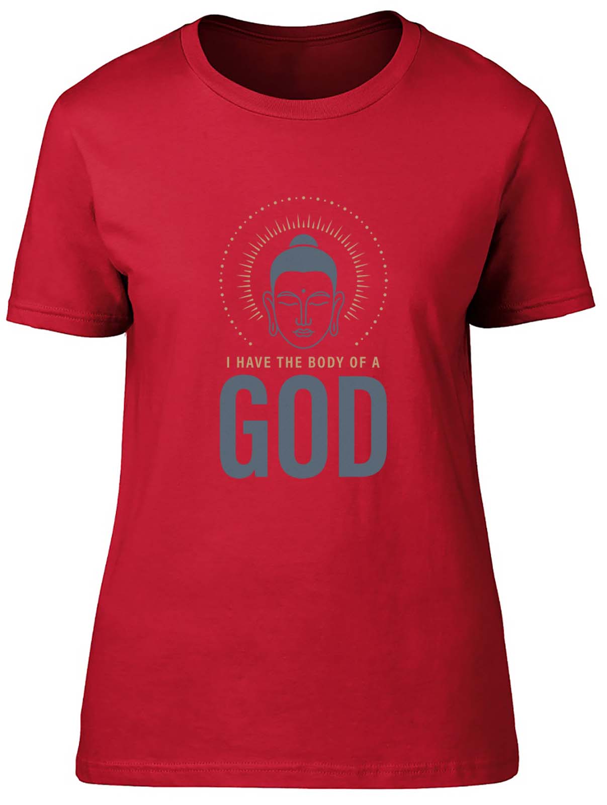 I Have The Body Of A God Fitted Womens Ladies T Shirt Gift